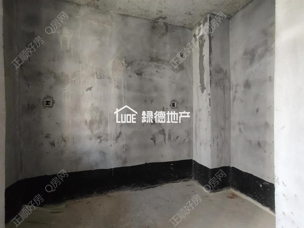 s1D1E1D6AB2C84C4B9E9418D54DDF52D5.jpg