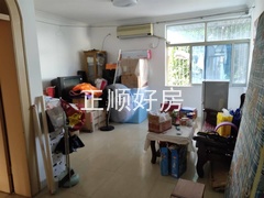 客厅
