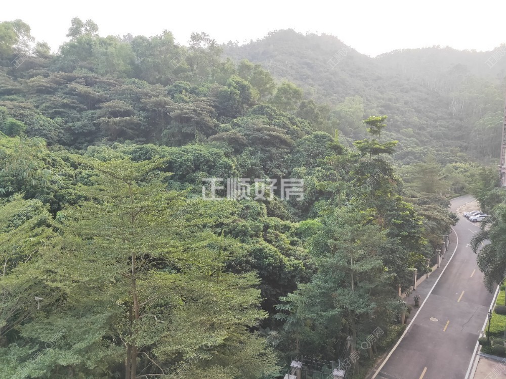 客厅