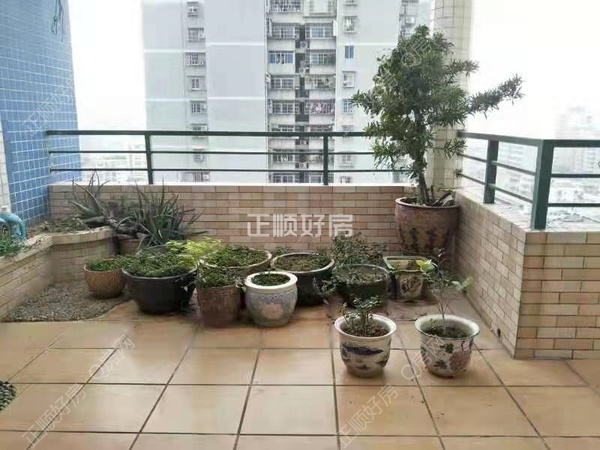 VR看房
