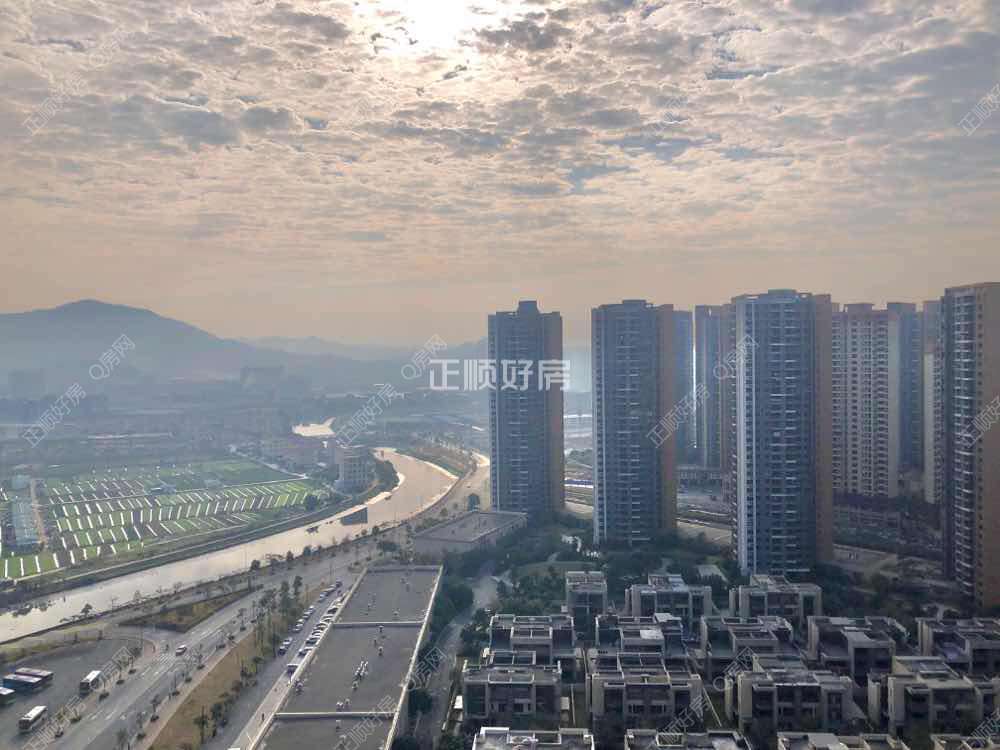 实景图