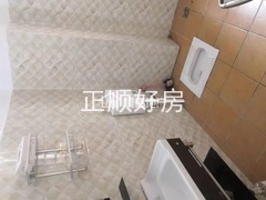 sF2A33C46730D4DD6B30B9C581EC6218F.jpg