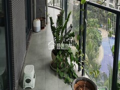 阳台