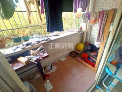 客厅