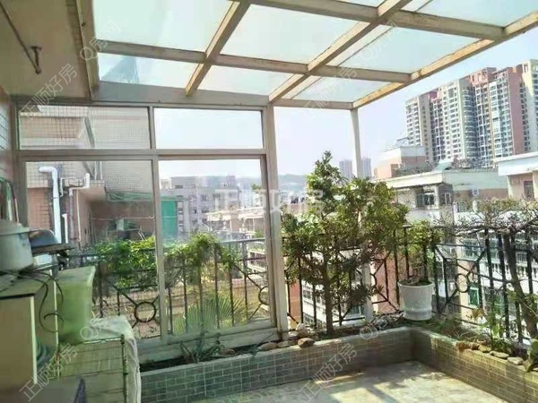 客厅