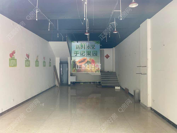 客厅