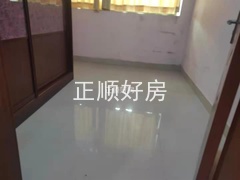 s1EBC9BA16404402697BC1832E042022E.jpg