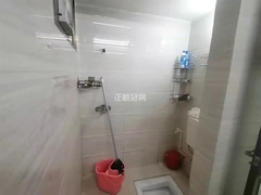 s7266E7139260451E9D70E2D4A45A4310.jpg