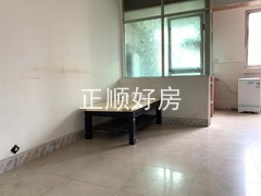 sE391D6513DEF4424B55D042D59E1E032.jpg