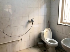 s313F60D75A6E4C668F4417D9493DE801.jpg