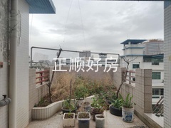 s5353A4EE009C4CFBA3A53546E0D1F3AD.jpg