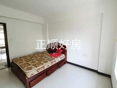 s8C5F970E378049A1A4FACFDD52FC8F85.jpg