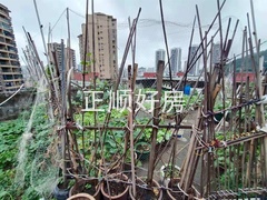 平台