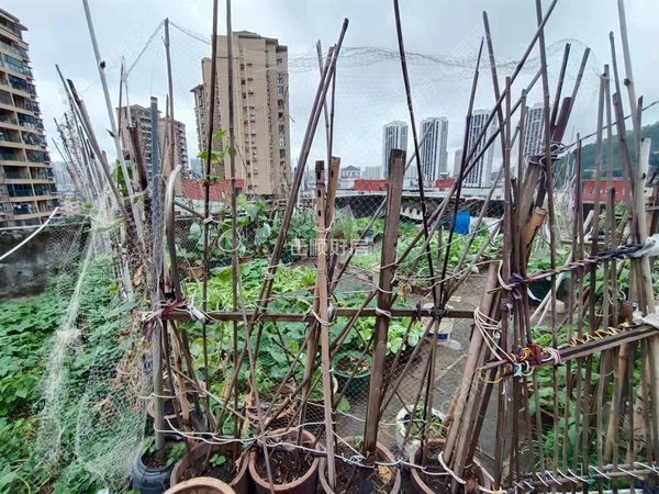 平台