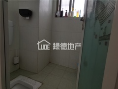 s3AA368A37E274E25A8FF4E29555A94F0.jpg