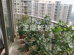 s7968DDF8847E407E9679FA4FD5344249.jpg