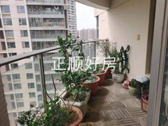 s9A17626954FC406FA118691ADDE6784B.jpg