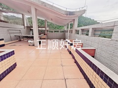 天台花园