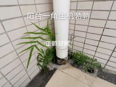 客厅