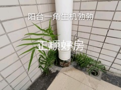 客厅