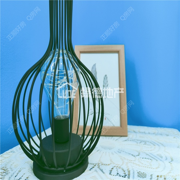 s3474F6D41018480E991C586E9E829CCB.jpg