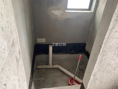 s39AE6328772E4246B67E624B144DC79C.jpg