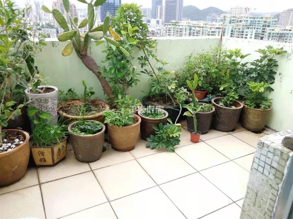 VR看房