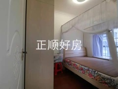 sE62D6BA5A22C43E0BEE0E1A9F7954263.jpg