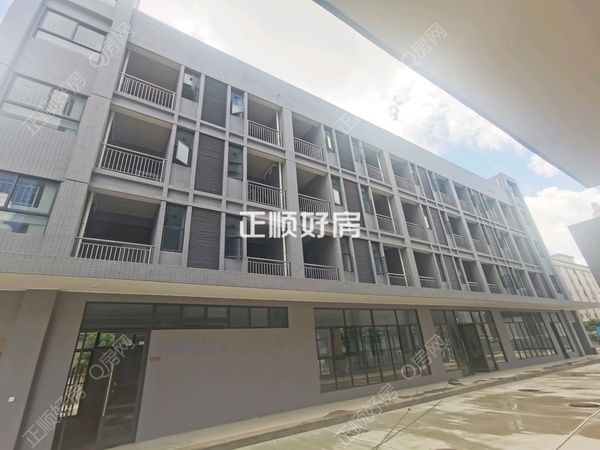 客厅