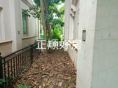 客厅