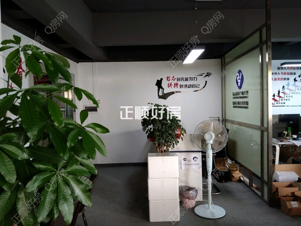 客厅