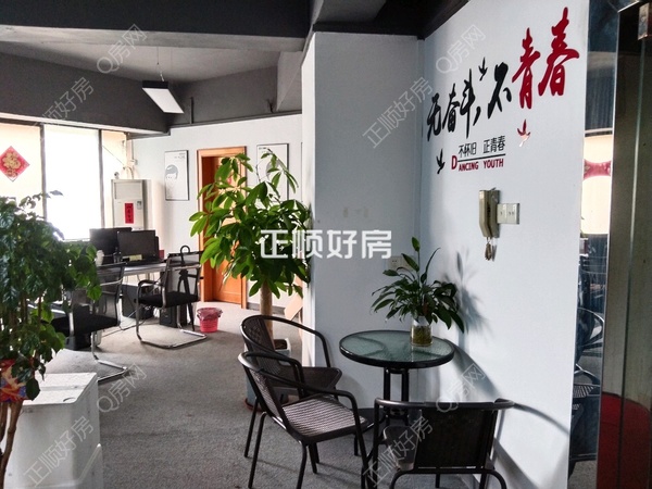 客厅