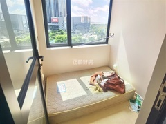 s1AC2B9368408428EBDA73D2AACDC35E7.jpg