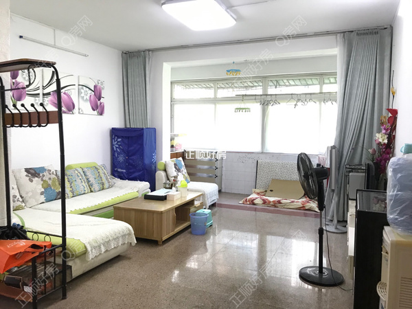 客厅