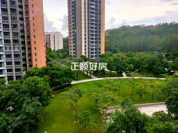 效果图