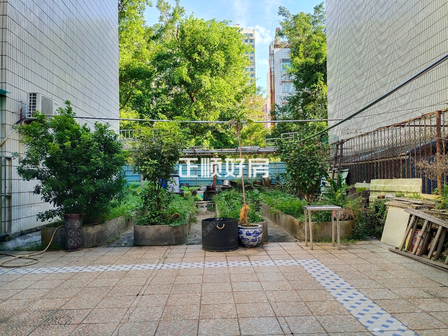 客厅