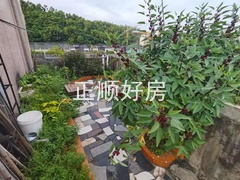 天台花园