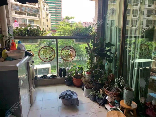 小阳台
