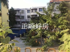 s8D35290904344CA08C58BD4A331DF209.jpg