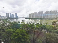 南向阳台河景