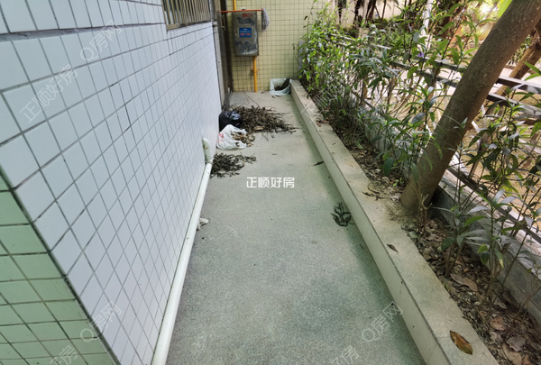 客厅