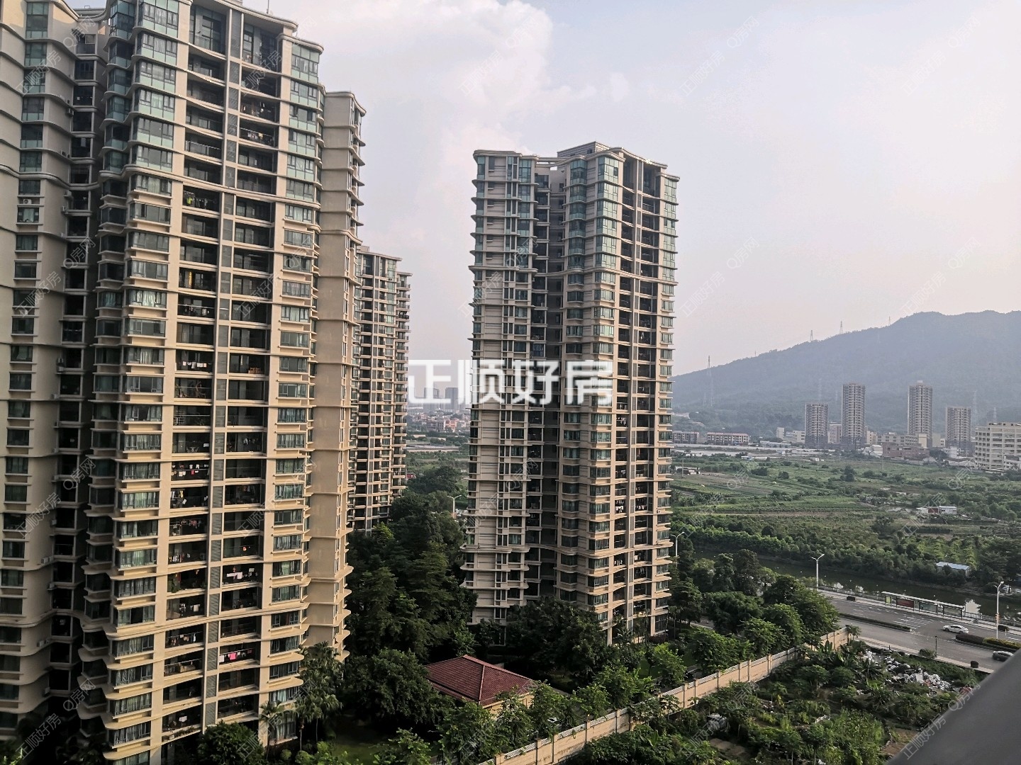 实景图
