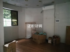 客厅