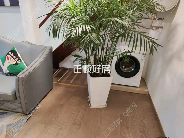 客厅