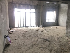 客厅