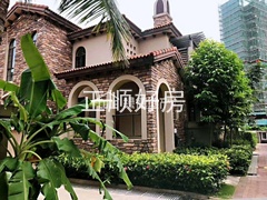 s850D701C885741F3BC36EA4133453156.jpg