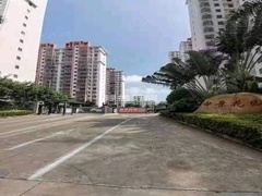 客厅