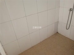 sCF6D4B471CB44ADA907970B6263440EC.jpg