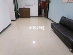 客厅3