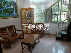客厅
